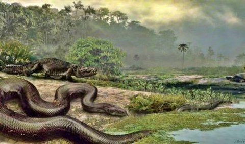 Menurut perkiraan, Titanoboa bisa tumbuh hingga sepanjang 12 sampai 15 meter, dan berat badan sampai 1.144 kilogram. Tapi, Anda bisa bersyukur karena ular ini hidup di bumi sekitar 58 hingga 60 juta tahun lalu.
