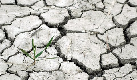 Cuaca panas dan kekeringan air akibat fenomena gabungan kemarau dan EL Nino.