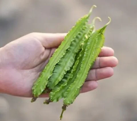 6 Resep Tumis Kecipir Simple untuk Makan Siang, Praktis dan Lezat