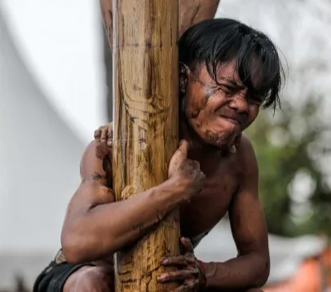 Cerita Pedagang Pohon Pinang Raup Omzet Rp6 Juta per Hari Jelang HUT ke-78 Indonesia