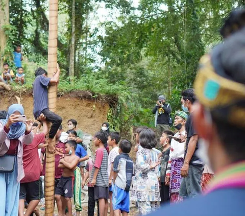 Cerita Pedagang Pohon Pinang Raup Omzet Rp6 Juta per Hari Jelang HUT ke-78 Indonesia