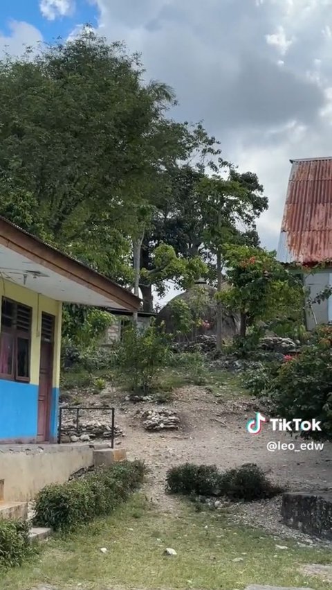 Viral Sekolah Dasar dengan Pemandangan Tercantik di Indonesia, Begini Penampakannya