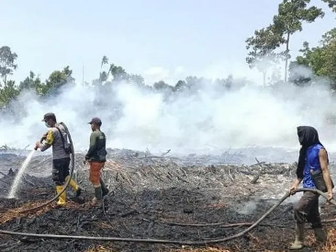 Karhutla Mulai Marak di Sumsel, Puluhan Hektare Lahan Terbakar dalam Sehari