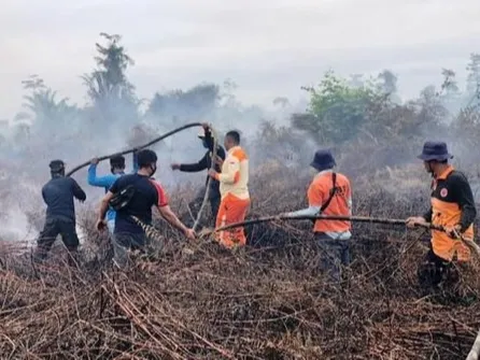 Karhutla Mulai Marak di Sumsel, Puluhan Hektare Lahan Terbakar dalam Sehari
