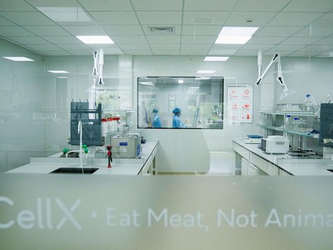 FOTO: Start Up China Produksi Daging Rekayasa Laboratorium, Begini Penampakannya