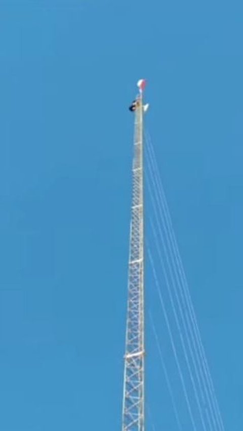 Bak Spiderman, Pemuda Ini Panjat Tower Setinggi 30 Meter Demi Kibarkan Merah Putih