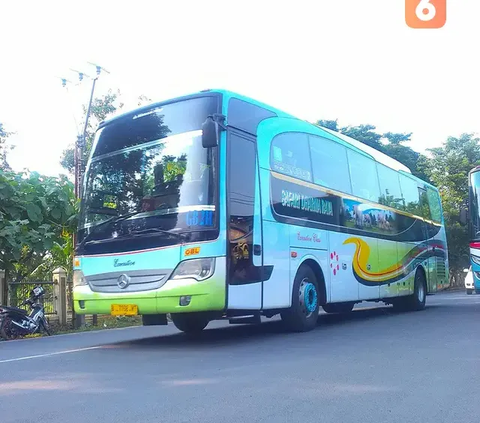 Cara Memilih Tempat Duduk di Bus Agar Tak Mabuk & Muntah dalam Perjalanan