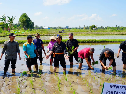 Hadapi El Nino, Mentan SYL Dorong Provinsi NTB Jadi Penyangga Pangan Indonesia Timur