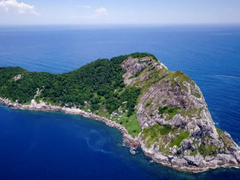 Pulau Kecil di Bumi yang Jadi Habitat Ular Sejak 11 Ribu Tahun, Ini Lokasinya