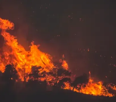 Ponpes di Polman Sulbar Terbakar, Diduga Gara-Gara Santri Rokok