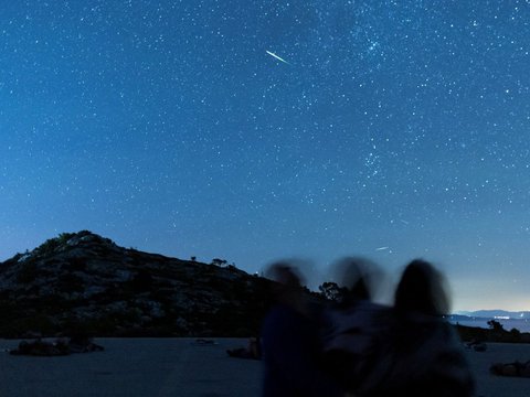 FOTO: Melihat Fenomena Hujan Meteor Perseid Menghiasi Langit Lima Negara di Belahan Bumi Utara