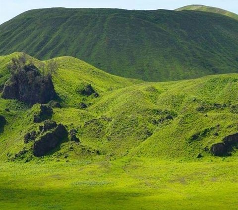 Spot wisata ini mungkin tidak setenar Kawah Ijen, tapi pesona alamnya tak kalah indah. Namanya Kawah Wurung, daratan tinggi dengan pemandangan hijau di sana-sini ini mirip bukit Telletubies.