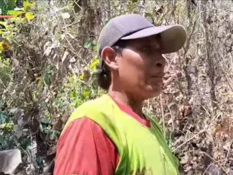 Mimpi Bertemu Pria Bermahkota, Warga Jombang Temukan Pusaka & Bangunan Kuno Peninggalan Kerajaan Majapahit di Dalam Hutan