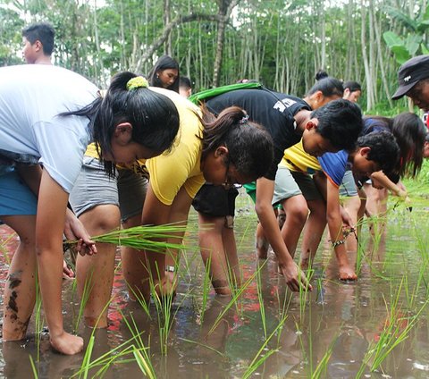 5 Exciting Activities in Sleman, from Educational Tourism to Adrenaline Challenges