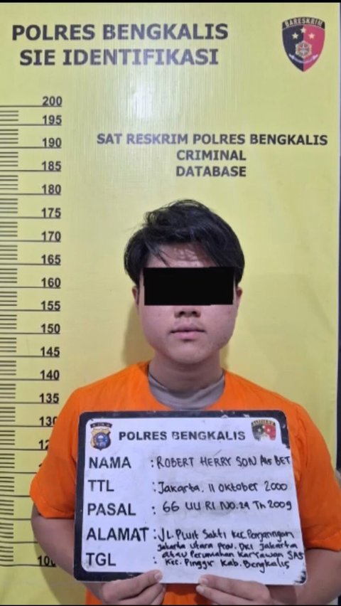 Polemik Bos Pabrik Sawit Kalungi Anjing Bendera Merah Putih hingga Penetapan Tersangka Disorot Hotman Paris