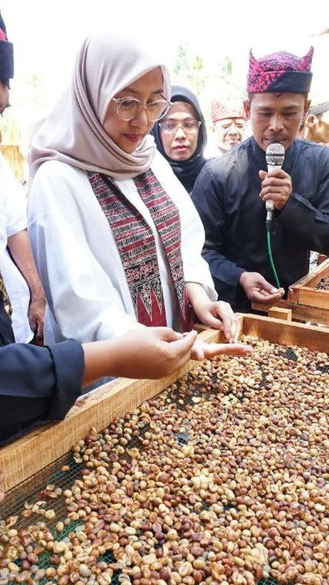 Banyuwangi Daftarkan Paten Indikasi Geografis Kopi Robusta