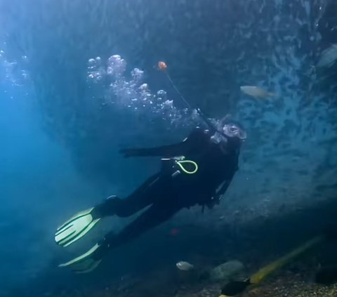 10 Momen Keseruan Prilly Latuconsina Diving di Ternate, Potret Cantiknya Malah Bikin Salfok