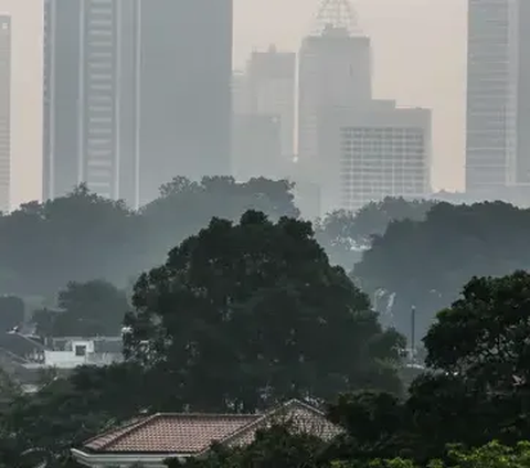 Data itu tercatat pada pukul 08.00 WIB pagi ini. Polutan utama berukuran PM2.5 dengan konsentrasi 116.7µg/m3.