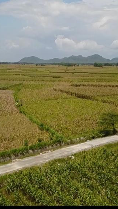 JUT Dongkrak Produktivitas dan Kesejahteraan Petani Temanggung