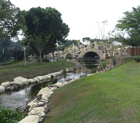 Suasana Taman Burung Taman Mini Indonesia Indah (TMII) yang tampak terdapat kali, bebatuan, pepohonan hingga rerumputan yang nyaman dan sedap dipandang di Jakarta, Selasa (15/8/2023).