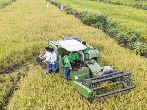 Sejarah Food Estate, Program Ketahanan Pangan Sejak Era Soeharto