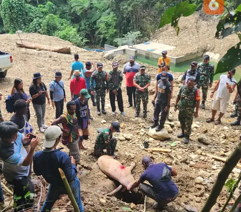 Ketua MPR Singgung Persoalan Papua, dari KKB hingga Dana Otsus