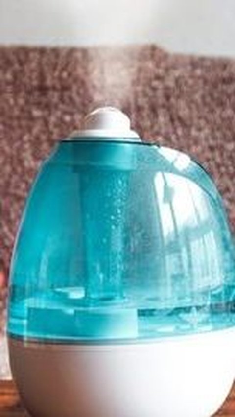 1. Fungsi Humidifier: Membantu Mengatasi Udara Kering