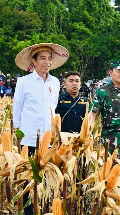 PKB Pertanyakan Motif PDIP Kritik Food Estate: Kenapa Baru Sekarang?