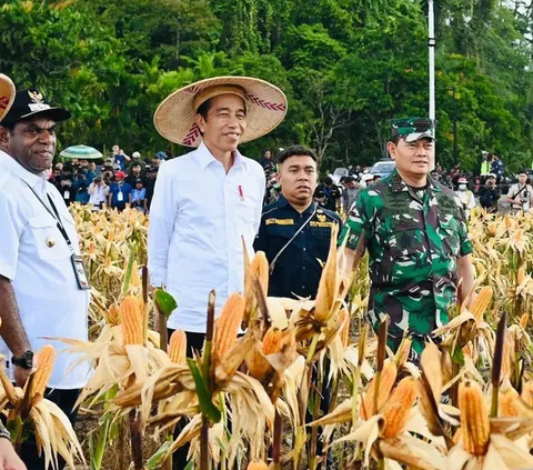 DPR Bakal Tanya Implementasi Food Estate