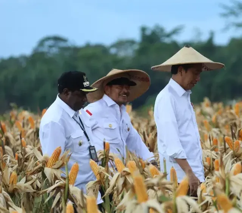 DPR Bakal Tanya Implementasi Food Estate