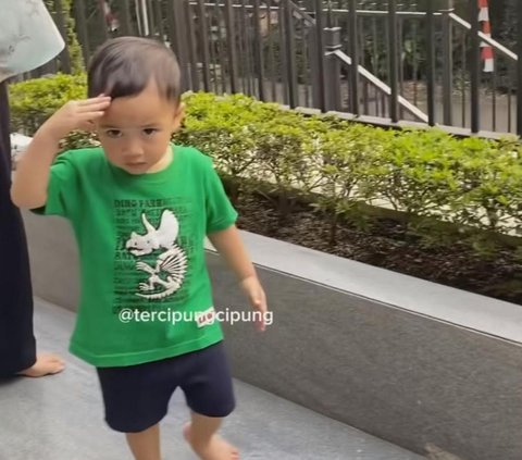 Gemasnya Rayyanza Belajar Hormat, Netizen 'Dia Sebenarnya Bukan Bayi'