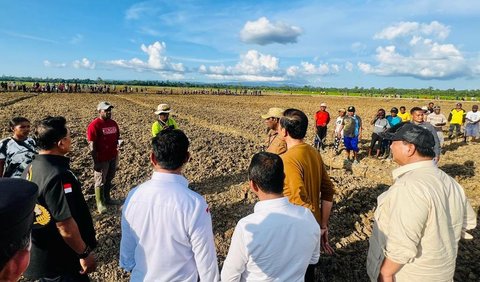 Namun saat disinggung lebih jauh, apakah program food estate yang dijalankan oleh Prabowo Subianto sebagai perpanjangan tangan Jokowi adalah hal yang politis, Hasto menolak menjawab.