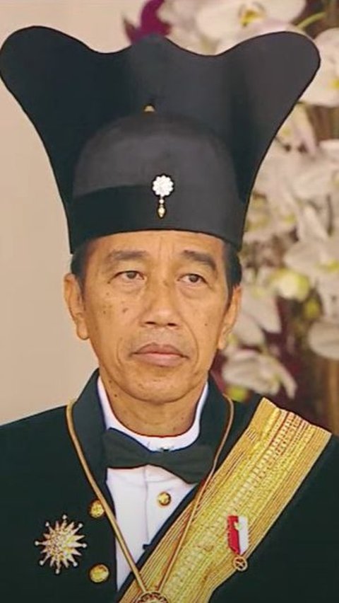 Usai Upacara Jokowi Menyapa Warga