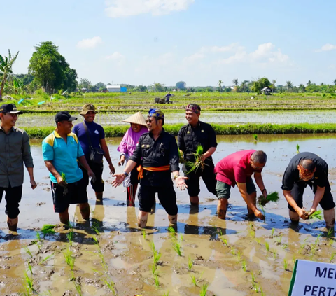 HUT RI ke-78, Mentan: Hadirkan Idealisme untuk Menjaga Pangan Nasional