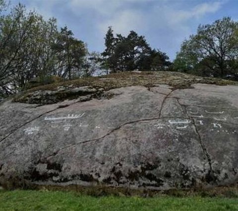 40 Petroglif Berusia 2700 Tahun Tersembunyi di Bawah Lapisan Lumut Tebal, Ada Gambar Kapal & Kuda, Arkeolog Ungkap Pembuat & Maknanya