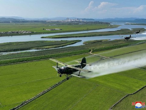 FOTO: Bukan Buat Perang, Kim Jong-un Kerahkan Pesawat Militer untuk Siramkan Pestisida di Sawah