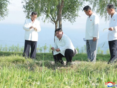 FOTO: Bukan Buat Perang, Kim Jong-un Kerahkan Pesawat Militer untuk Siramkan Pestisida di Sawah