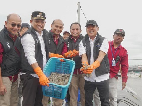 KKP Gandeng UNIDO Angkat Daya Saing Udang dan Emas Hijau di Pasar Dunia