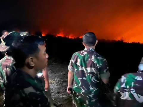 229,54 Ha Hutan dan Lahan di Jambi Terbakar, Jenderal Bintang Satu Tuding Ini Penyebabnya