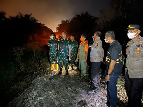 229,54 Ha Hutan dan Lahan di Jambi Terbakar, Jenderal Bintang Satu Tuding Ini Penyebabnya