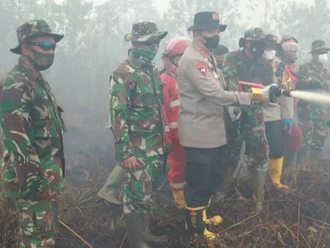 229,54 Ha Hutan dan Lahan di Jambi Terbakar, Jenderal Bintang Satu Tuding Ini Penyebabnya