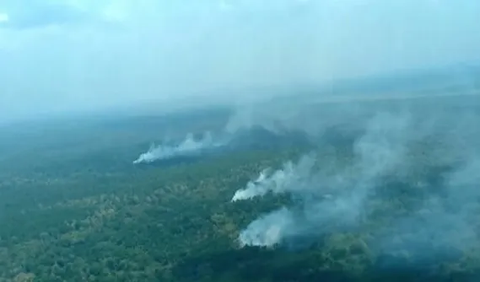 Dampaknya karhutla tidak hanya pada kesehatan, tetapi juga perekonomian dan sendi kehidupan masyarakat, seperti kerusakan lingkungan serta dapat mengganggu stabilitas negara tetangga.