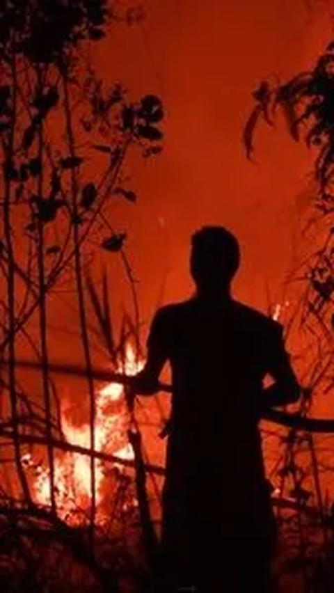 229,54 Ha Hutan dan Lahan di Jambi Terbakar, Jenderal Bintang Satu Tuding Ini Penyebabnya