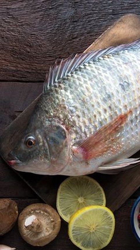 5. Ikan Mujair