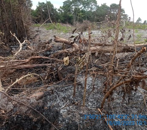 Kakak Adik Kepergok Kompak Bakar Lahan pada Malam Hari