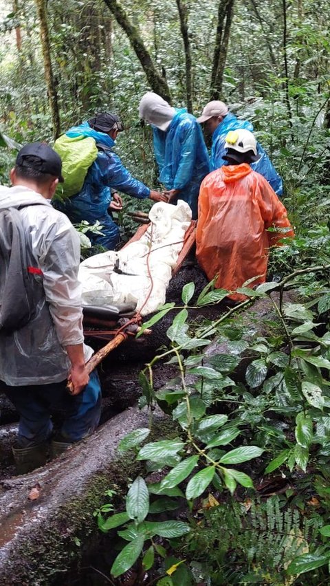Cerita Tim SAR Evakuasi Pendaki Alami Patah Kaki di Gunung Kerinci