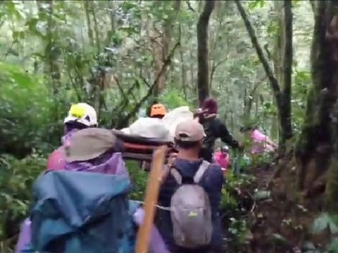 Cerita Tim SAR Evakuasi Pendaki Alami Patah Kaki di Gunung Kerinci