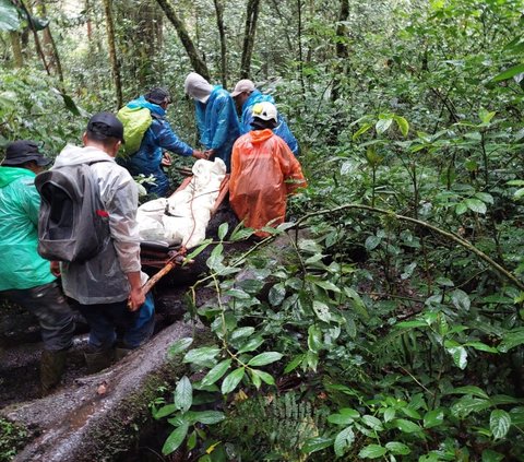 Korban langsung dibawa ke puskesmas terdekat untuk mendapatkan perawatan medis. Saat itu, korban sedang mengikuti open trip bersama sekitar 20 orang lainnya yang melakukan pendakian di Gunung Kerinci.