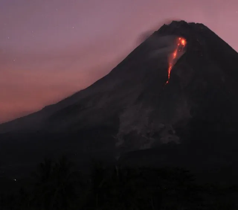 Gunung Merapi Luncurkan 8 Kali Guguran Lava dalam Waktu 6 Jam, Ini Penjelasan BPPTKG