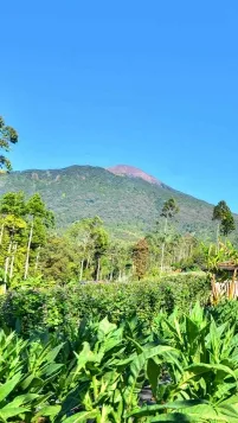 Terkait hal tersebut, BPBD Kabupaten Banyumas memastikan bahwa hingga saat ini tidak ada peningkatan aktivitas vulkanis di Gunung Slamet.